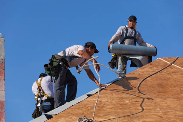 Best Metal Roofing Contractor  in Montpelier, IN